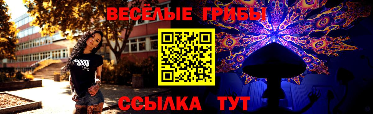 Галлюциногенные грибы Psilocybe  Галлюциногенные грибы мицелий  Трёхгорный  Вход с VPN 