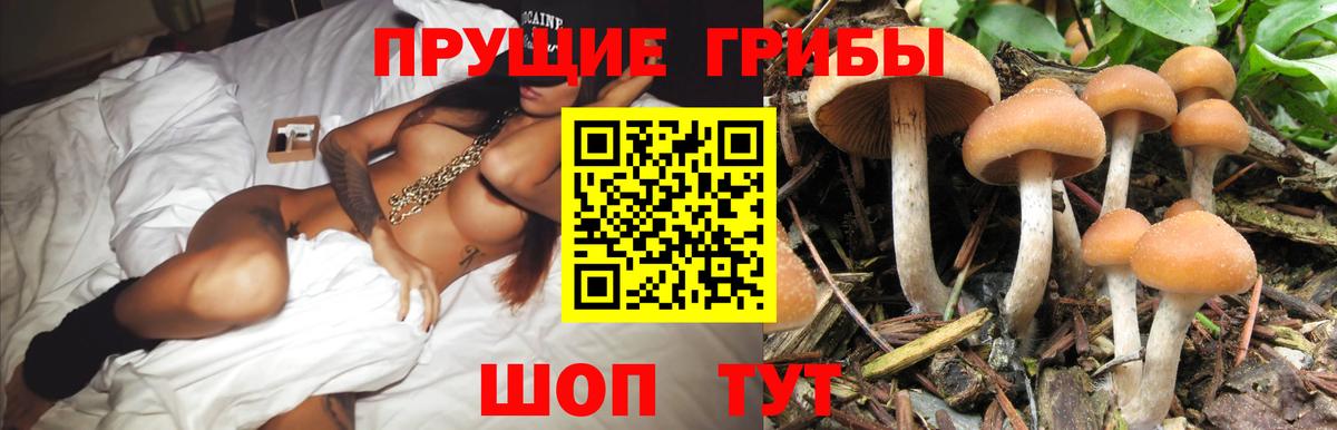 Галлюциногенные грибы прущие грибы Трёхгорный